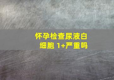 怀孕检查尿液白细胞 1+严重吗